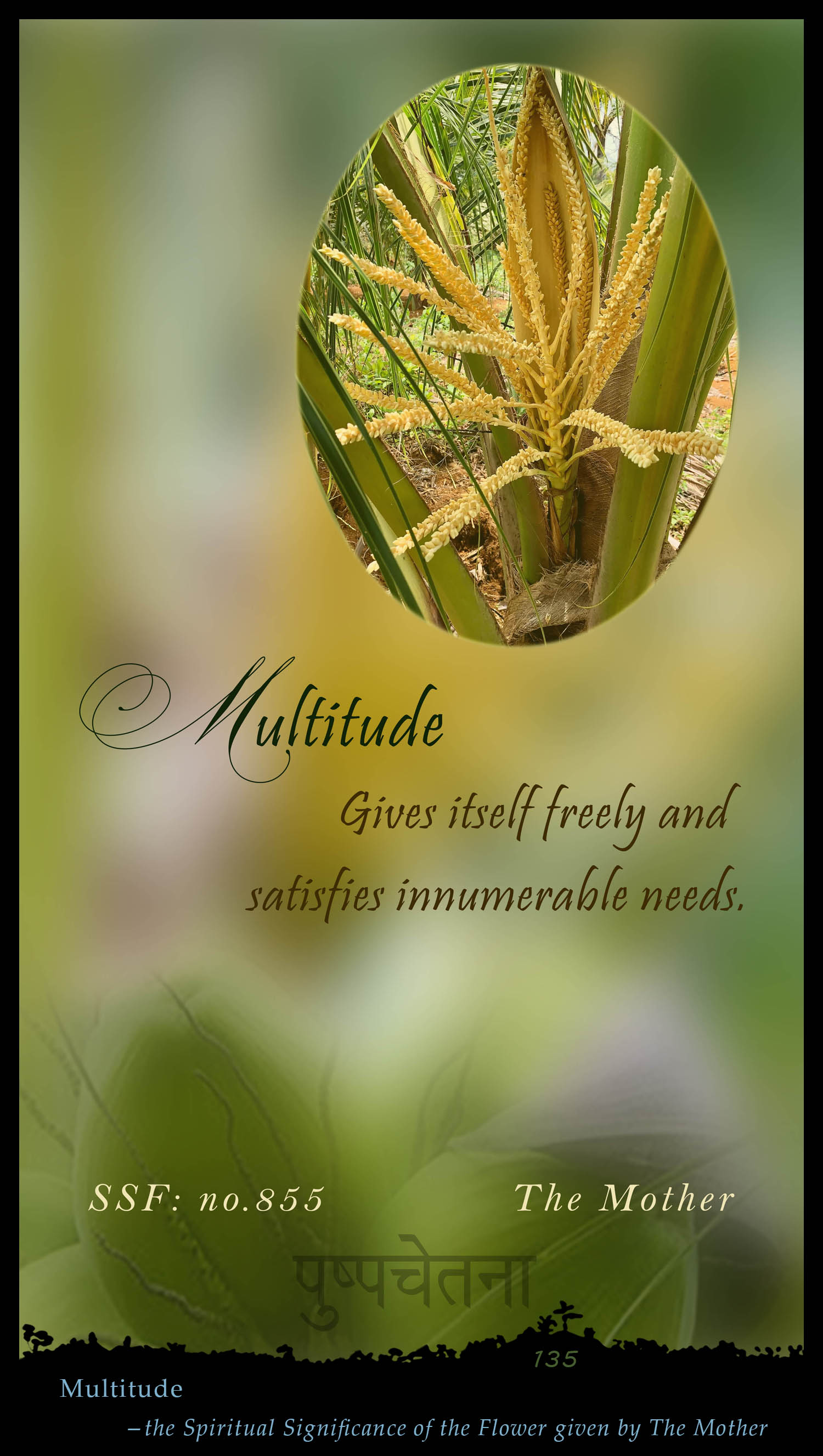 Multitude